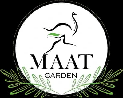 Maat Skin logo